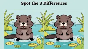 Brain Teaser Spot the Difference Picture Puzzle: Only smart people can spot 3 differences in this Rat picture in 10 seconds.