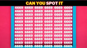 Brain Teaser Visual Test: Only 2 out of 10 people can spot the Number 6666 in 6 Secs