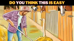 Genius IQ Test: Only detective brains can Spot the 5 mistakes in the farm Image in Less than 12 seconds!