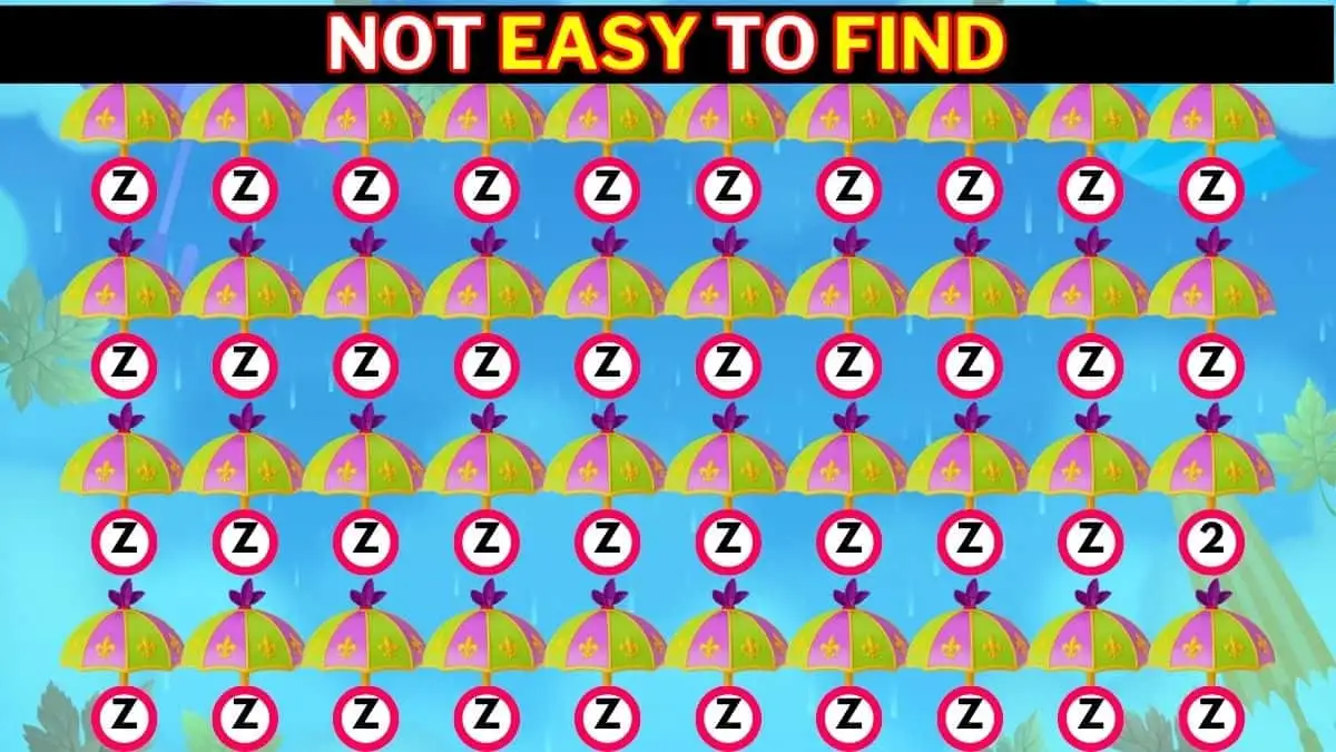 Number Illusion Test:  Only Visual Masters Can Spot The Hidden Number 2 in 5 Secs