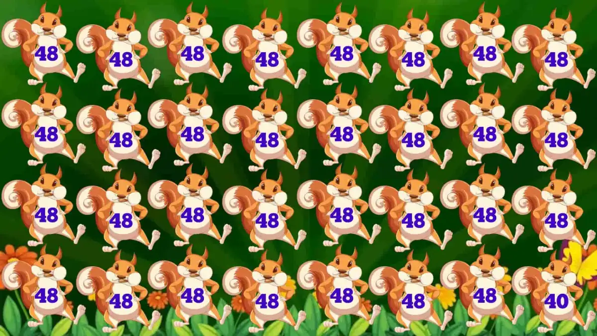 Observation Brain Test: Only a mastermind can spot the Number 40 among 48 in 9 secs