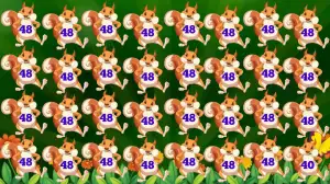 Observation Brain Test: Only a mastermind can spot the Number 40 among 48 in 9 secs