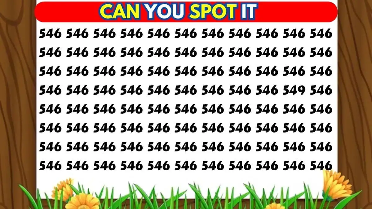 Observation Brain Test: Only a mastermind can spot the Number 549 among 546 in 9 secs