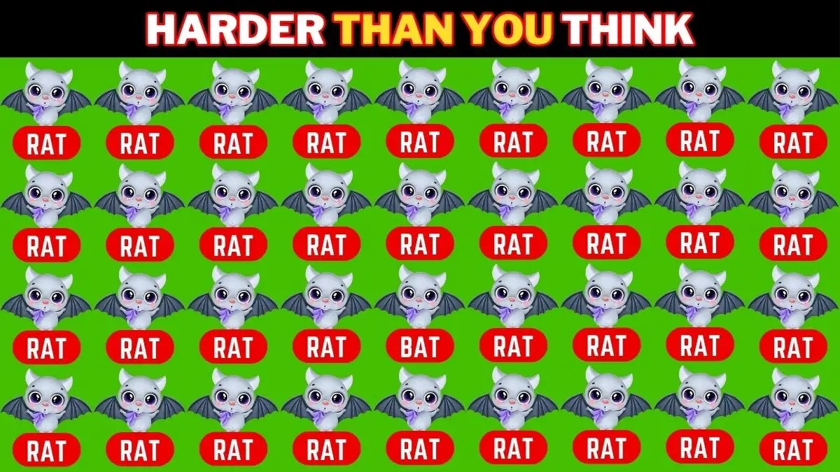 Observation Visual Test: Only Extra Sharp Eyes Can Spot the Word Bat among Rat in 9 Secs