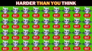 Observation Visual Test: Only Extra Sharp Eyes Can Spot the Word Bat among Rat in 9 Secs