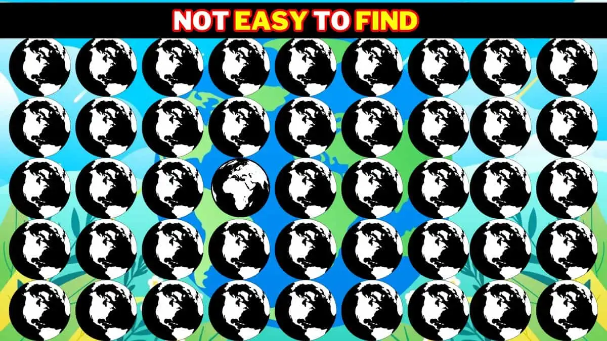 Odd One Out Puzzle: Can You Find The Odd World In 8 Secs