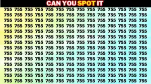 Optical Illusion Brain Challenge: Only the sharpest eyes can spot the Number 765 among 755 in 5 seconds!