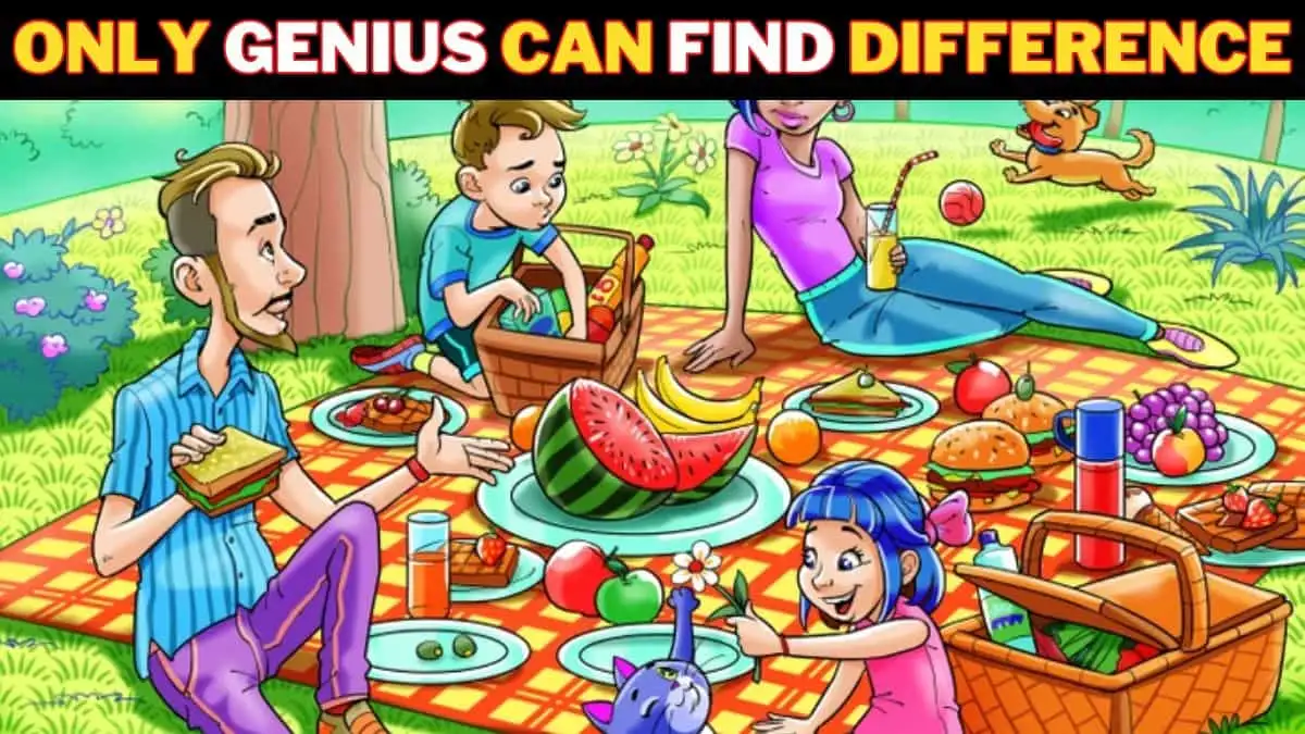 Optical Illusion Brain Test: Only Brilliant Can Find the Hidden Ice Cream in this Picnic Image in 9 Secs