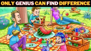 Optical Illusion Brain Test: Only Brilliant Can Find the Hidden Ice Cream in this Picnic Image in 9 Secs