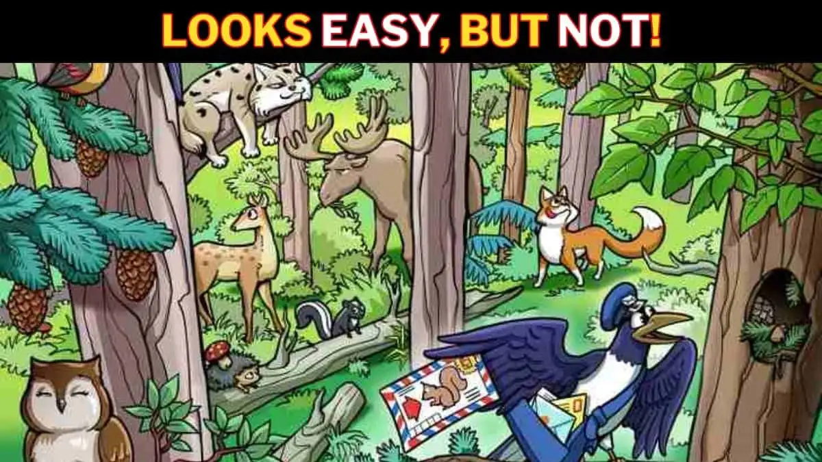 Optical Illusion Eye Test: 99% Fail to Spot the Hidden Squirrel in the Forest in 10 Secs