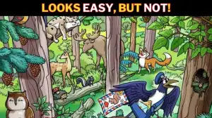 Optical Illusion Eye Test: 99% Fail to Spot the Hidden Squirrel in the Forest in 10 Secs