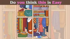 Optical Illusion Eye Test: Only people with hawk eyes can spot the coffee cup in the wardrobe in 7 Secs