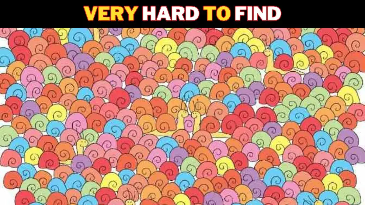 Optical Illusion IQ Test: Only people with high eye power can spot the Heart Among Snails in the picture in 6 seconds!