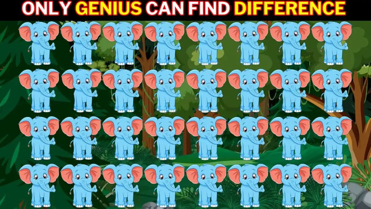 Optical Illusion IQ Test: People with 20/20 vision can spot the Odd Elephant in 6 Secs