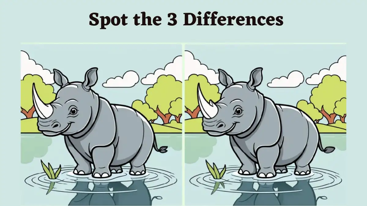 Optical Illusion Spot the Difference Challenge: Only Sharp Eyes Can Spot the 3 Differences in this Rhino Pictures in 15 Secs