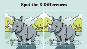 Optical Illusion Spot the Difference Challenge: Only Sharp Eyes Can Spot the 3 Differences in this Rhino Pictures in 15 Secs