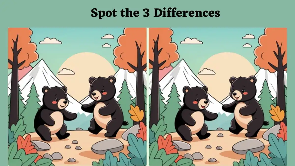 Optical Illusion Spot the Difference Game: Are you smart enough to spot 3 differences in the Couple Bear pictures within 7 seconds?