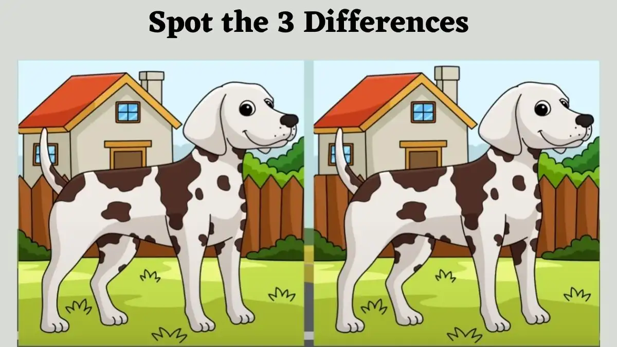 Optical Illusion Spot the Difference Game: Engage your sharp eyes and spot 3 differences in the Dalmatian dog image within 8 seconds!