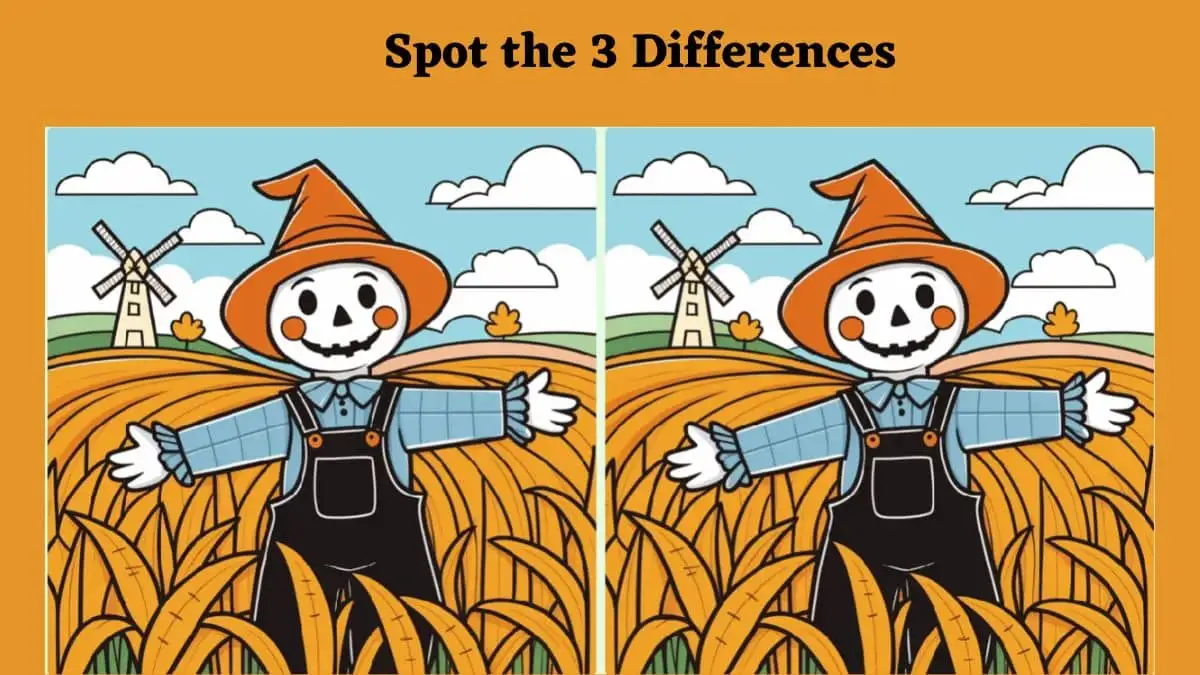 Optical Illusion Spot the Difference Game: Only geniuses can spot 3 differences in this Image in 14 Secs