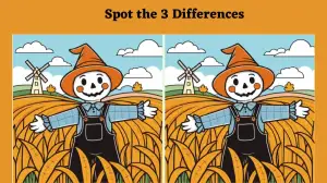 Optical Illusion Spot the Difference Game: Only geniuses can spot 3 differences in this Image in 14 Secs