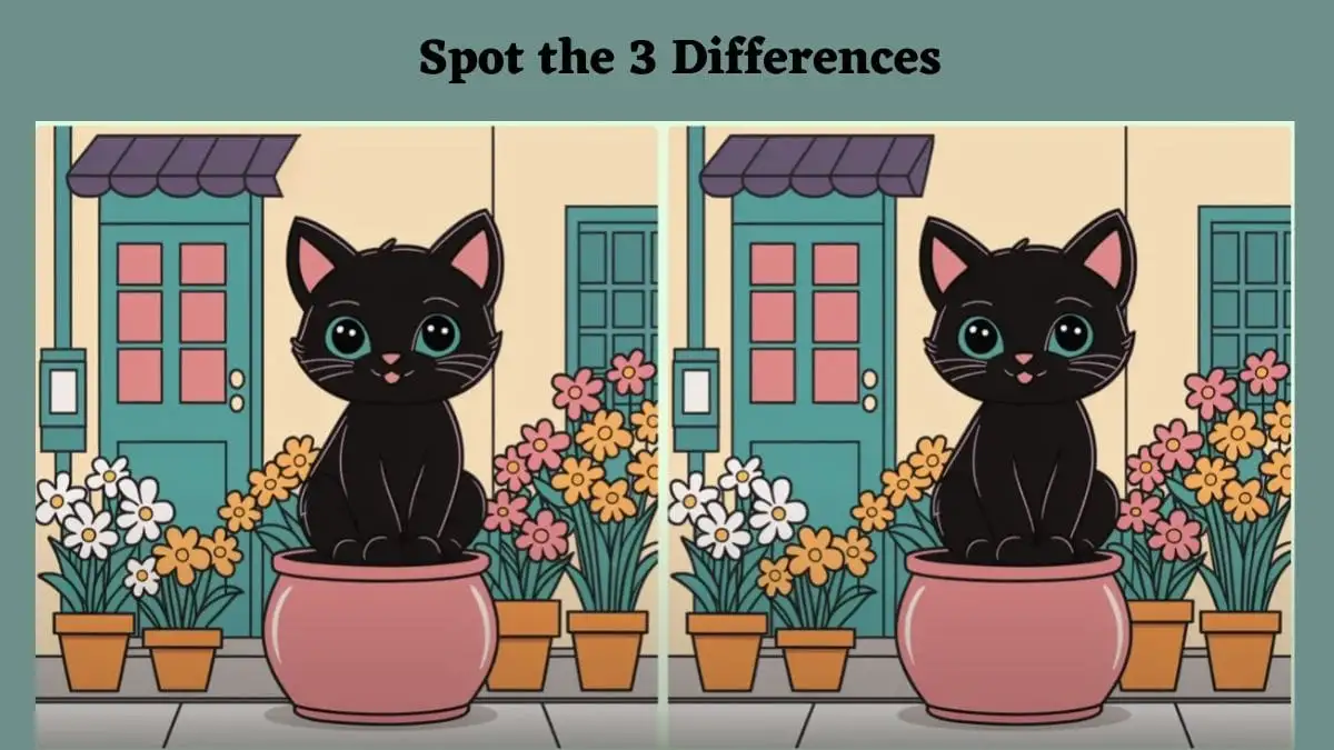 Optical Illusion Spot the Difference Game: Only geniuses can spot the 3 differences in Black Cat pictures in 8 Secs