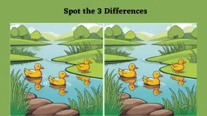 Optical Illusion Spot the Difference Game: Only razor sharp eyes can spot 3 differences in this Duck Image in 15 Secs