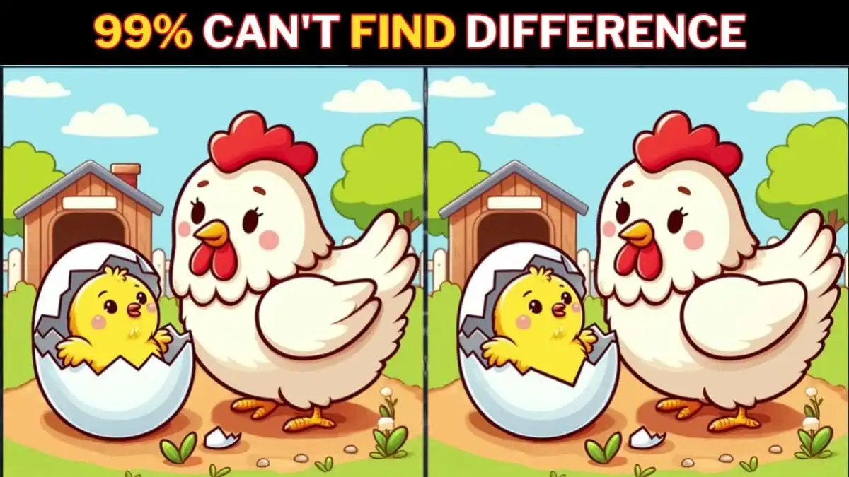 Optical Illusion Spot the Difference Game: Only True observers can spot 3 differences between the Hen and Chick images in 15 seconds