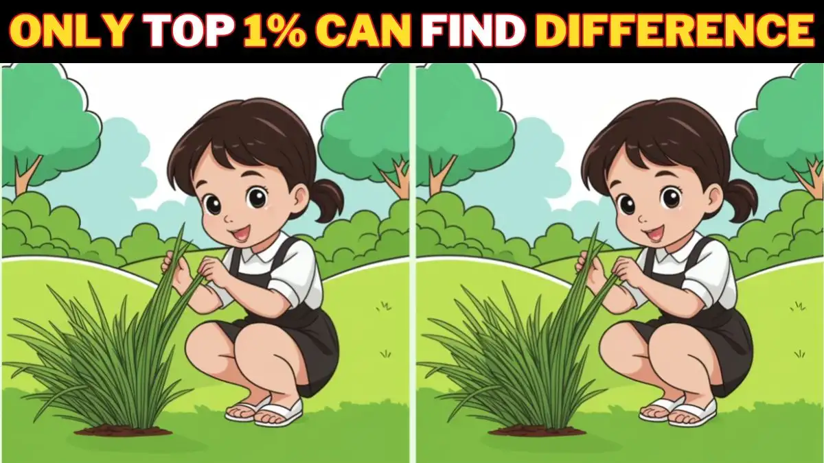 Optical Illusion Spot the Difference Game: Test your attentiveness and spot 3 differences in the Girl Image within 10 seconds