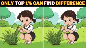 Optical Illusion Spot the Difference Game: Test your attentiveness and spot 3 differences in the Girl Image within 10 seconds