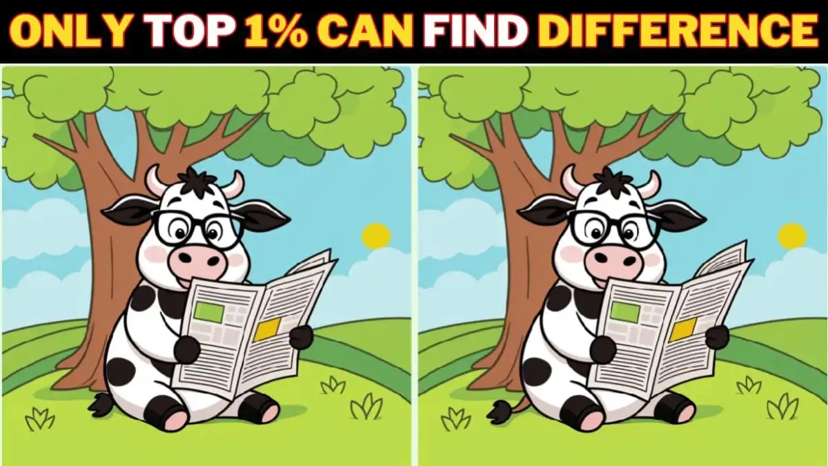 Optical Illusion Spot the Difference: Only the most attentive can spot 3 differences in the Cow Reading Newspaper pictures within 15 seconds