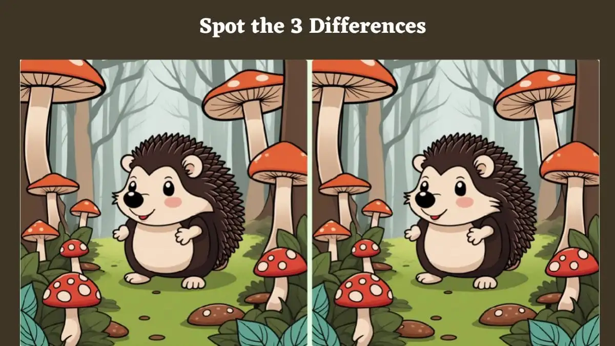 Optical Illusion Spot the Difference Picture Puzzle Game: Only Super Vision Can Spot the 3 Differences in the Hedgehog Pictures in 12 Secs