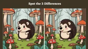 Optical Illusion Spot the Difference Picture Puzzle Game: Only Super Vision Can Spot the 3 Differences in the Hedgehog Pictures in 12 Secs