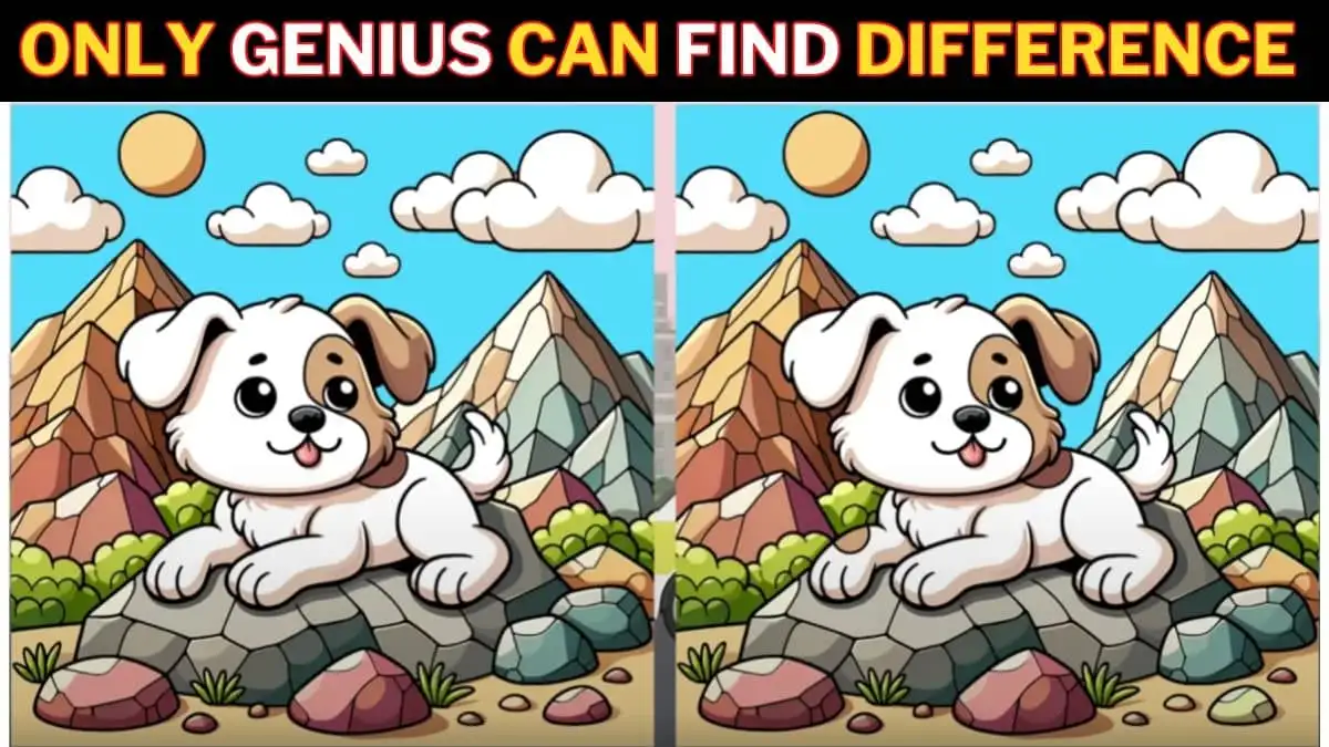 Optical Illusion Spot the Difference Picture Puzzle Game: Only Super Vision People Can Spot the 3 Differences in this Dog Picture in 10 Secs