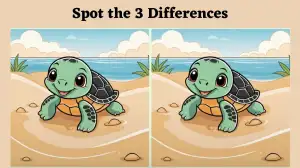 Optical Illusion Spot the Difference Picture Puzzle Game: Use Your 4k Vision to Spot the 3 Differences in this turtle Image in 8 Secs