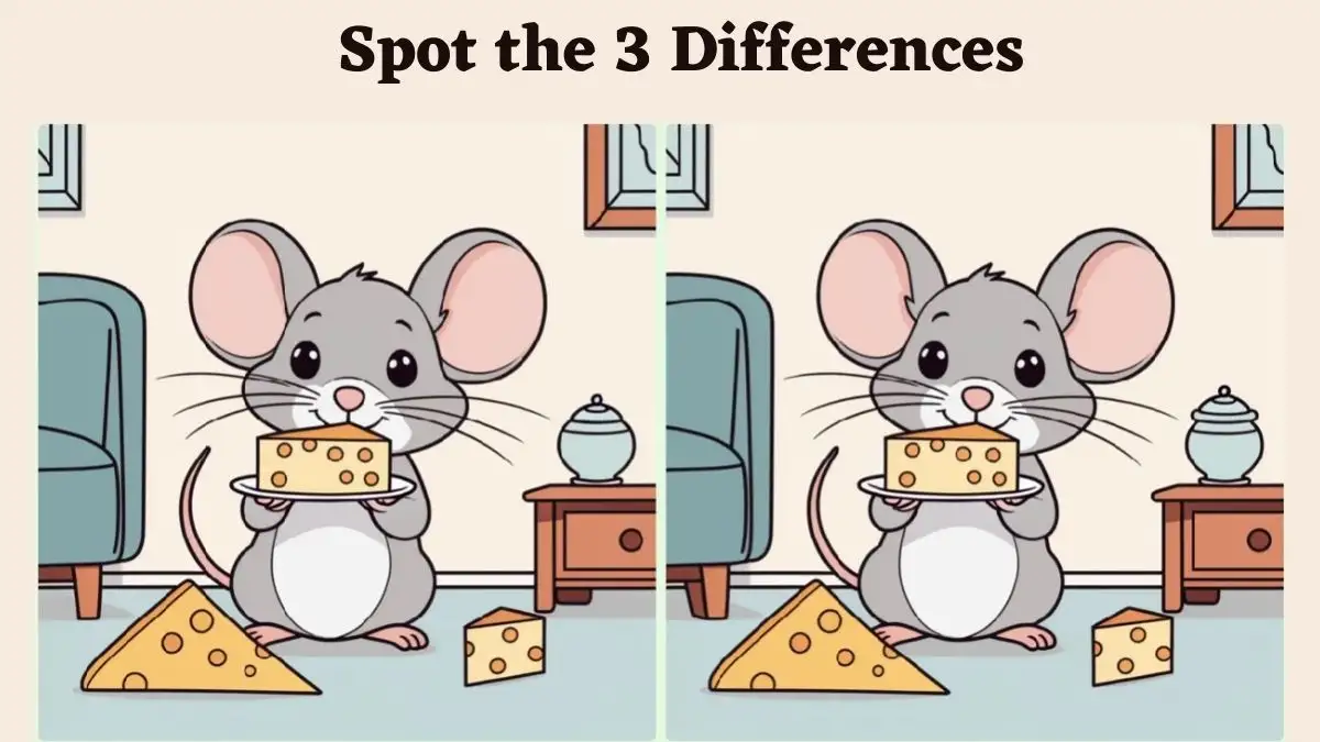 Optical Illusion Spot the Difference Picture Puzzle Game: Use your sharp eyes to spot the 3 Differences in this Mice Eating Cheese picture in 10 seconds!