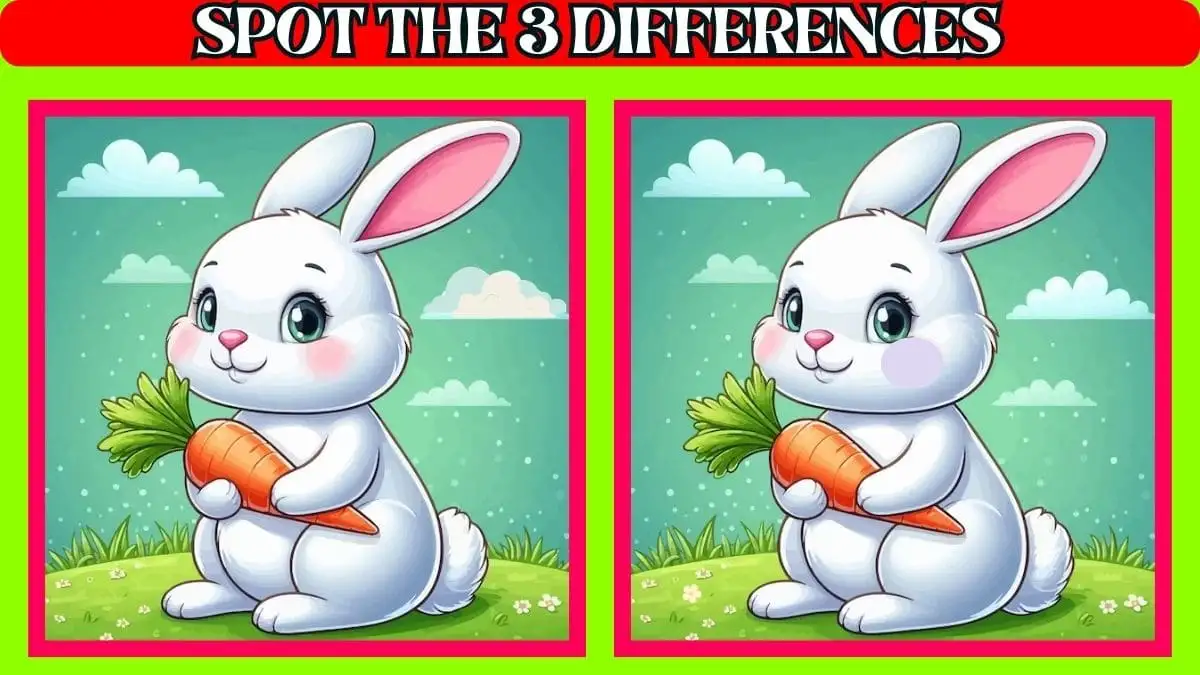 Optical Illusion Spot the difference Picture Puzzle: Only 20/20 vision can spot the 3 Differences in this Rabbit Image in 8 Secs