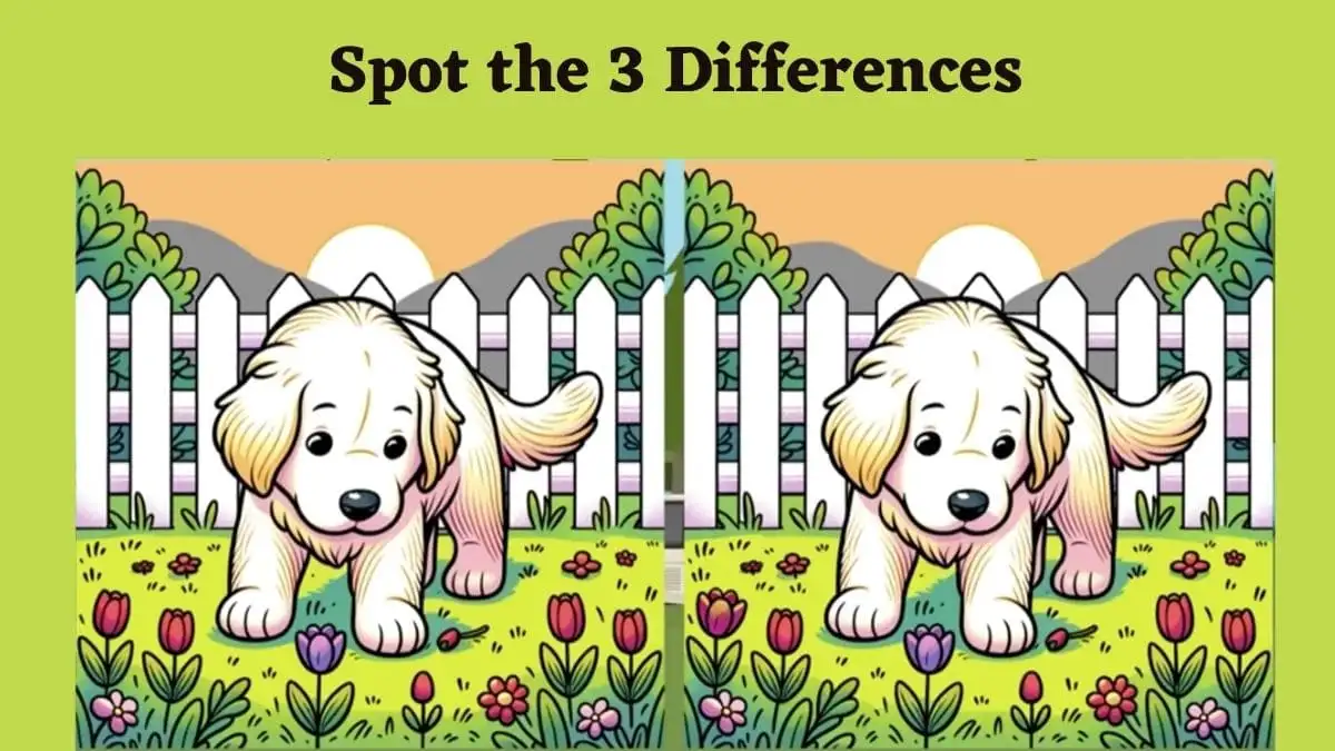 Optical Illusion Spot the Difference Picture Puzzle: Only a sharp brain can spot 3 differences in this dog Image in 8 Secs