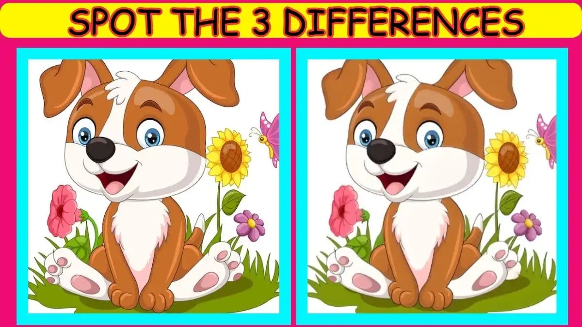 Optical Illusion Spot the Difference Picture Puzzle: Only extra observant people can spot 3 differences in this Dog Image in 8 Secs