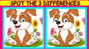 Optical Illusion Spot the Difference Picture Puzzle: Only extra observant people can spot 3 differences in this Dog Image in 8 Secs