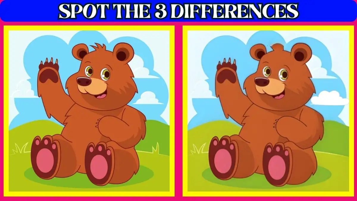 Optical Illusion Spot the Difference Picture Puzzle: Only Genius Can Spot the 3 Differences in this Bear Picture in 7 Secs