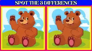 Optical Illusion Spot the Difference Picture Puzzle: Only Genius Can Spot the 3 Differences in this Bear Picture in 7 Secs