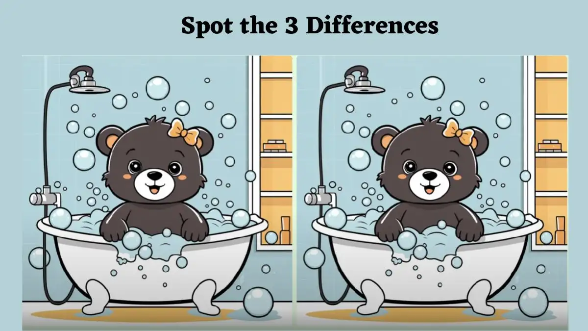 Optical Illusion Spot the Difference Picture Puzzle: Only the most attentive eyes can spot the 3 differences in this Bathing Bear Picture in 15 Secs