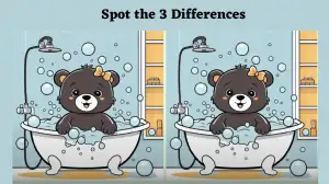 Optical Illusion Spot the Difference Picture Puzzle: Only the most attentive eyes can spot the 3 differences in this Bathing Bear Picture in 15 Secs