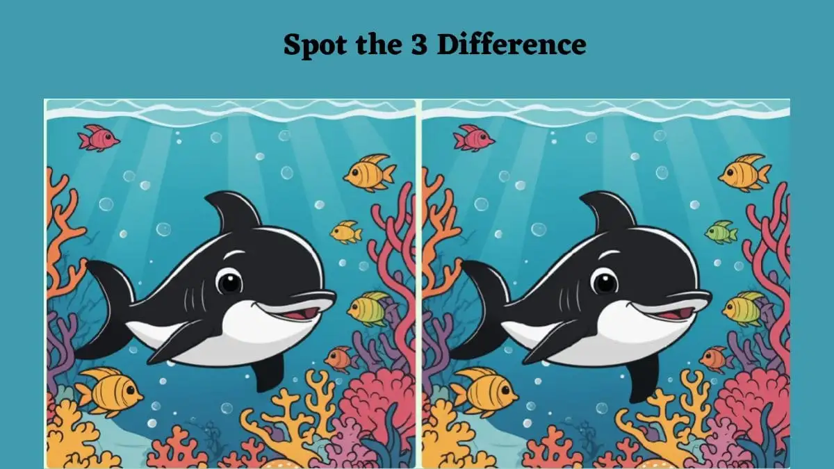 Optical Illusion Spot the Difference Picture Puzzle: Only true observers will be able to spot 3 differences in the dolphin Image within 12 seconds.