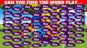 Optical Illusion to Test Your Vision: Only A Human With 360 Vision Can Spot the Word Play among Slay in 8 Secs