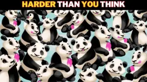 Optical Illusion Vision Test: Test your visual skills by spotting the Hidden penguin among these pandas in 7 Secs