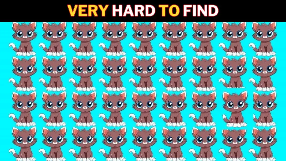 Optical Illusion Vision Test: Use Your Keen Observation To Spot The Odd Cat in 10 Secs​