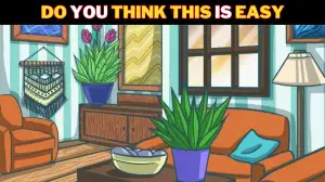 Optical Illusion Visual Test: Only People with Sharp Eyes Can Spot the Hidden Feather In The Living Room In 5 Seconds