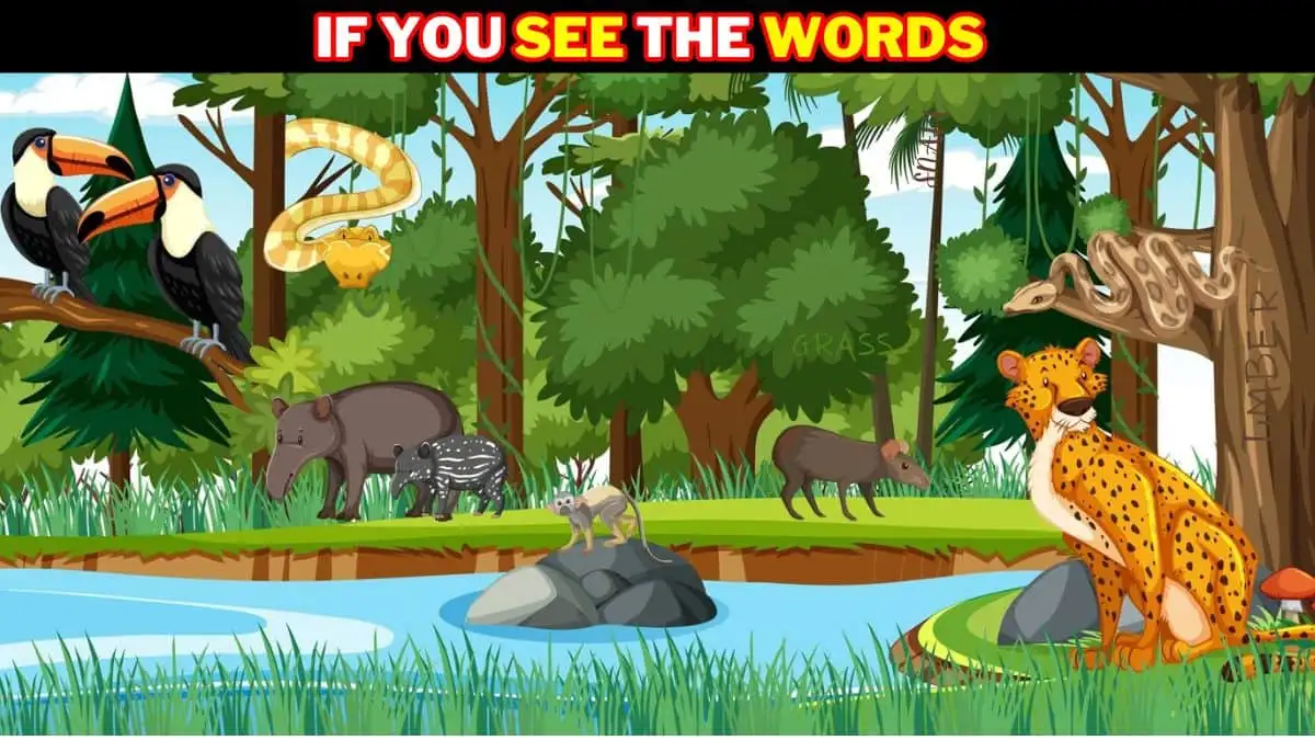 Picture Puzzle IQ Test:  Only High IQ People Can Find The 3 Hidden Words in this Jungle Image in 8 Secs