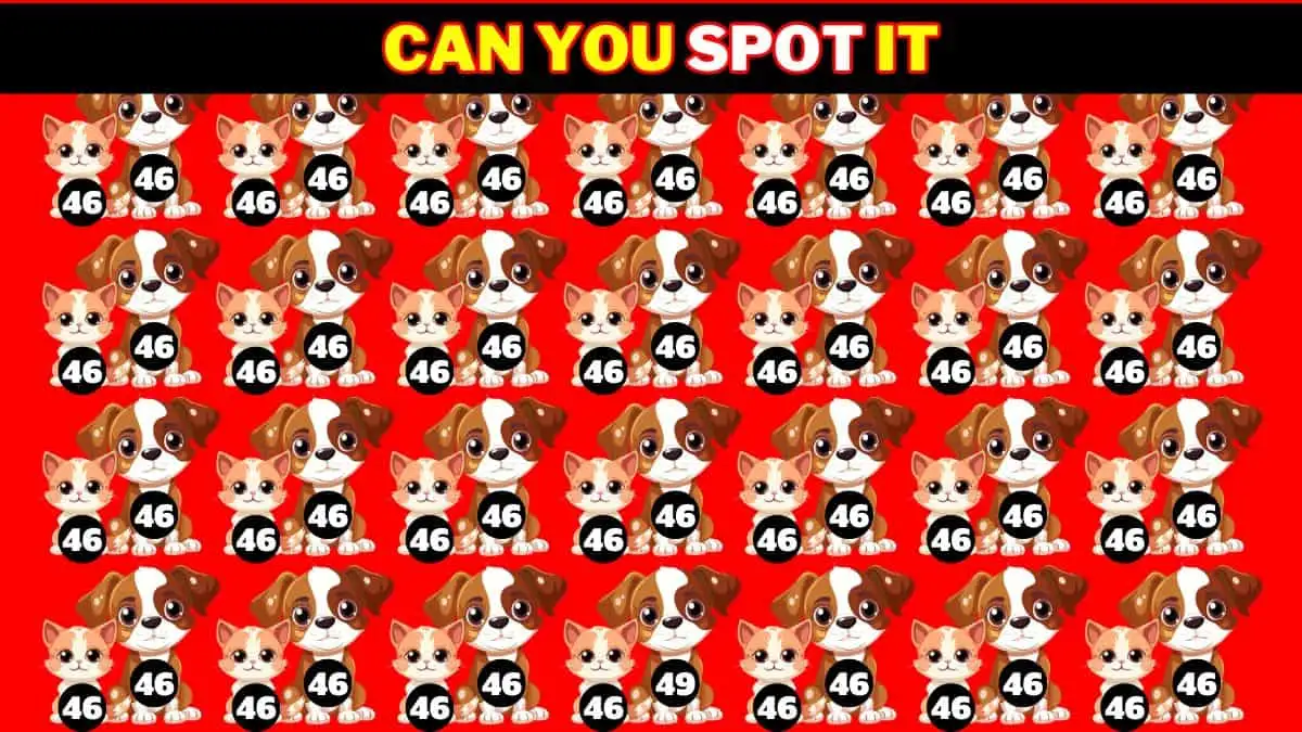 Puzzle IQ Test: Everyone can spot 46 Eagle-eye people only find the Number 49 in 9 Secs